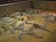 -洛阳周王城天子驾六博物馆