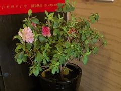 -升艾堂·经络·艾灸·气血(成山路店)