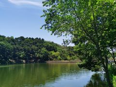 -鲁山国家森林公园