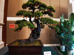 -国际非物质文化遗产博览园