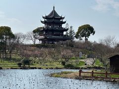 -上海海湾国家森林公园