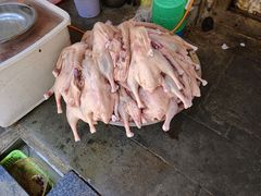 -海窝子古镇