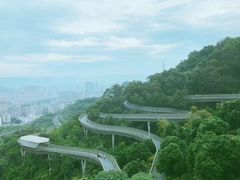 -福道