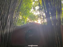 -望江楼公园