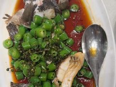 -新吉士·上海菜(浦东LCM置汇旭辉店)