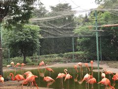 -石家庄市动物园