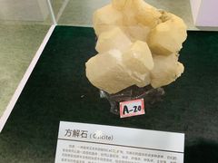 -中国第四纪冰川遗迹陈列馆