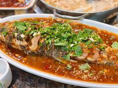 -丁月玉兔王(大渡口店)