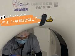 -立德动物医院·24小时中心(番禺区院区)