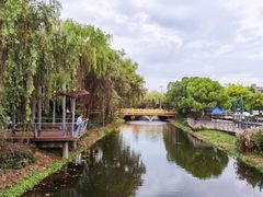 -大华梧桐墅大公馆