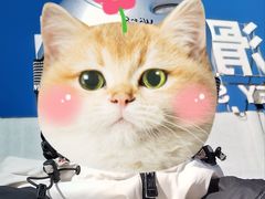 -华彬猛犸滑雪场
