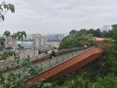 -梅峰山地公园