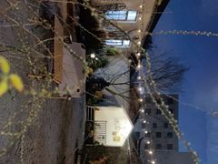-Jo's Garden