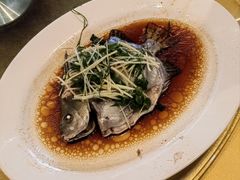 金古鱼-大笑饭堂(甲子桥店)