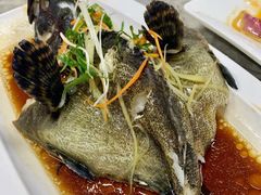 石斑鱼清蒸-四川小胡子海鲜(丁村万人海鲜广场店)