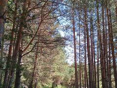 -北极村旅游风景区