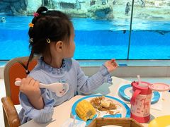 -帝企鹅自助餐厅•儿童岛•真企鹅(长隆企鹅酒店)