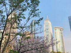 -西北湖绿化广场