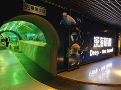 -秦皇岛新澳海底世界