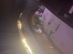 -金水养生(华新店)