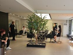 -付军剪艺JF ProSalon