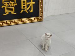 -宝通禅寺