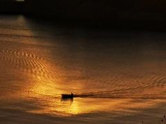 -北岐滩涂
