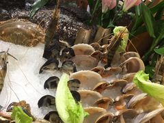 -福州西湖大酒店·怡湖咖啡厅