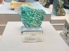 -湖南省地质博物馆