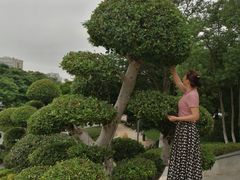 -青礁慈济宫