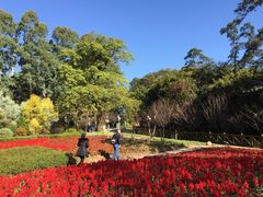 -广州市流溪河国家森林公园