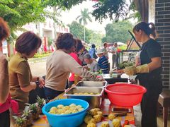 -红色娘子军纪念园