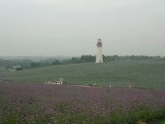 -紫颐香薰山谷景区