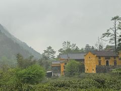 -九华山风景区