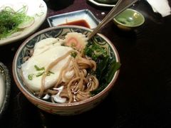 长寿面-松子料理(亮马桥店)