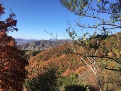 -北京张裕爱斐堡酒庄