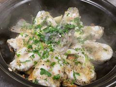 老姜焗鲈鱼-客语客家菜(KKONE店)