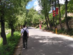-王顺山国家森林公园