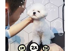 -萌兽医馆·眼科·异宠专科(三里屯店)