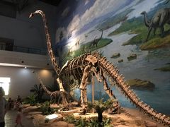 -自贡恐龙博物馆