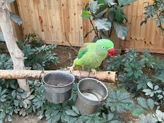 -南宫五洲植物乐园