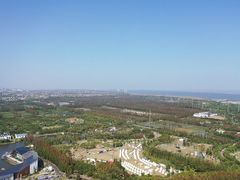-上海长兴岛郊野公园