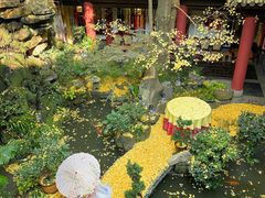 -钦善斋(武侯祠店)