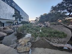 -罗红摄影艺术馆