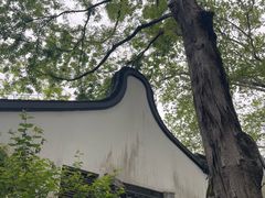 -上海醉白池公园