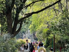 -中国茶叶博物馆(双峰馆区)