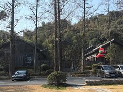 -东明山森林公园