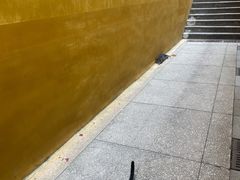 -宝通禅寺