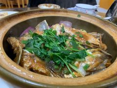 -苏记农家菜馆