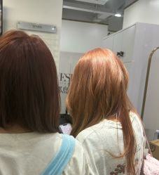 -YESIDO椰岛造型